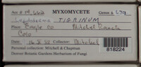 Image Associated With the Occurence